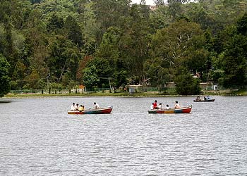 Kodaikanal Tour Packages